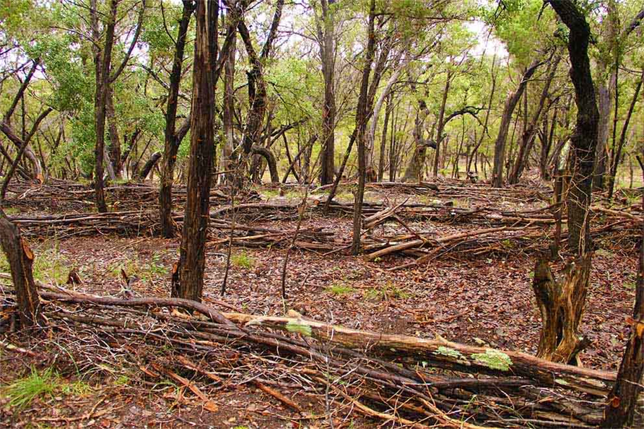 Land Art With Purposes
Bee Cave Texas Fitzhugh